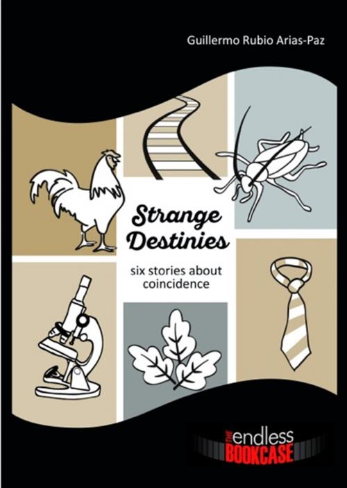 Cover of the book Strange Destinies by Guillermo Rubio Arias-Paz, The Endless Bookcase