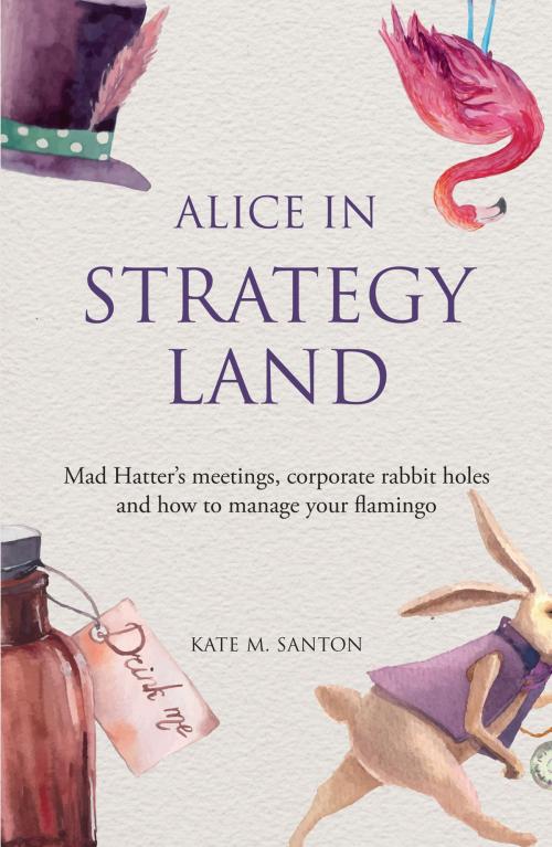 Cover of the book Alice in strategy land by Kate M. Santon, Infinite Ideas Ltd