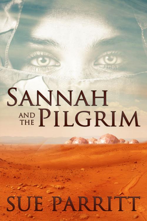 Cover of the book Sannah and the Pilgrim by Sue Parritt, Odyssey Books