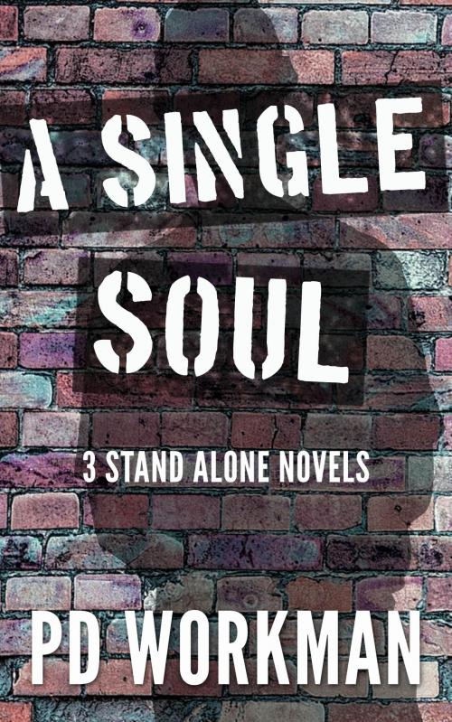 Cover of the book A Single Soul by P.D. Workman, pd workman