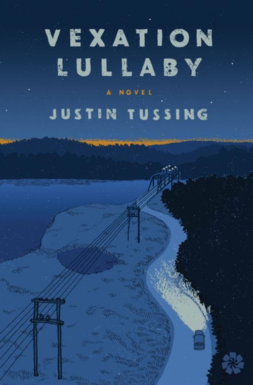 Cover of the book Vexation Lullaby by Justin Tussing, Counterpoint Press