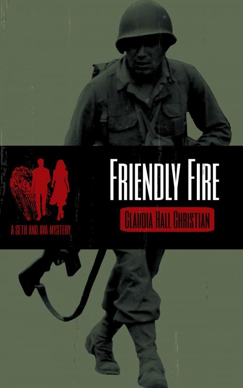 Cover of the book Friendly Fire by Claudia Hall Christian, Cook Street Publishing cookstreetpublishing@gmail.com