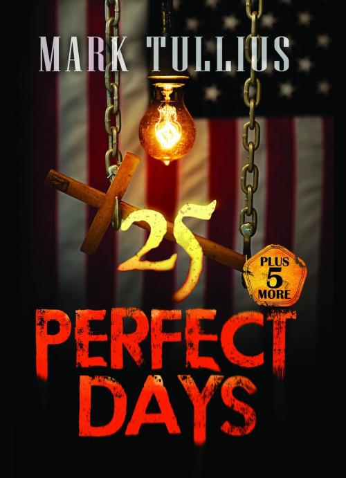 Cover of the book 25 Perfect Days: Plus 5 More by Mark Tullius, Mark Tullius