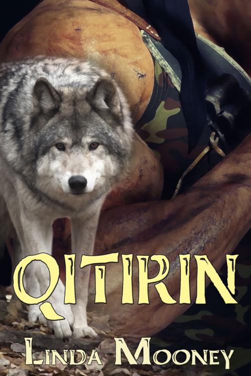 Cover of the book Qitirin by Linda Mooney, Music And Press