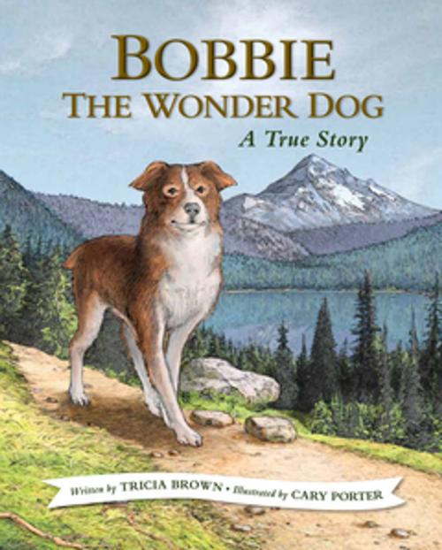 Cover of the book Bobbie the Wonder Dog: A True Story by Tricia Brown, West Margin Press
