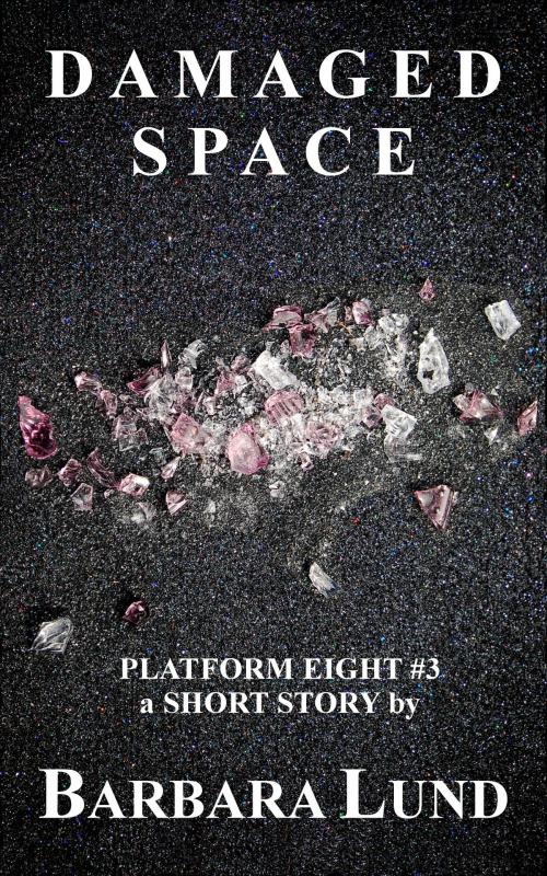 Cover of the book Damaged Space by Barbara Lund, Barbara Lund