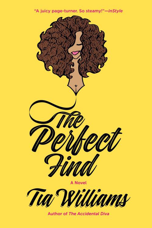 Cover of the book The Perfect Find by Tia Williams, Brown Girls Publishing