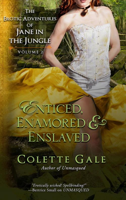 Cover of the book Enticed, Enamored & Enslaved by Colette Gale, Avid Press