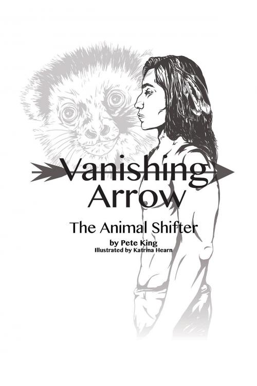 Cover of the book Vanishing Arrow by Pete King, Green Ivy