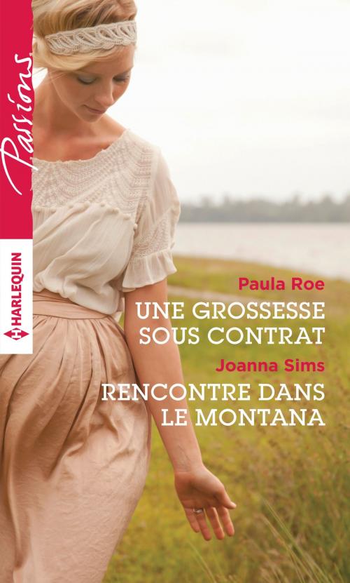 Cover of the book Une grossesse sous contrat - Rencontre dans le Montana by Paula Roe, Joanna Sims, Harlequin