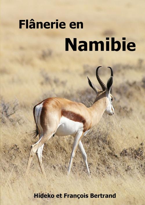 Cover of the book Flânerie en Namibie by Hideko Bertrand, François Bertrand, Books on Demand