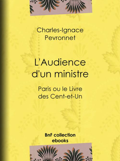Cover of the book L'Audience d'un ministre by Charles-Ignace Peyronnet, BnF collection ebooks