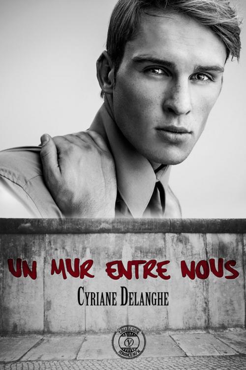Cover of the book Un mur entre nous by Cyriane Delanghe, Voy'el