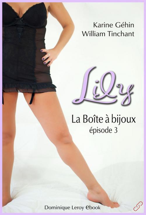 Cover of the book Lily, épisode 3 – La Boîte à bijoux by Karine Géhin, William Tinchant, Éditions Dominique Leroy