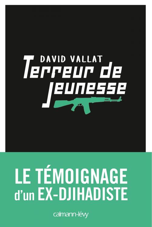 Cover of the book Terreur de jeunesse by David Vallat, Calmann-Lévy