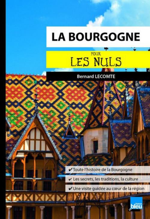 Cover of the book La Bourgogne pour les Nuls poche by Bernard LECOMTE, edi8