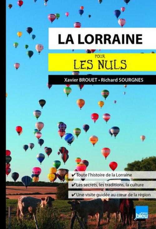 Cover of the book La Lorraine pour les Nuls poche by Xavier BROUET, Richard SOURGNES, edi8