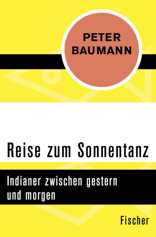 Cover of the book Reise zum Sonnentanz by Peter Baumann, FISCHER Digital