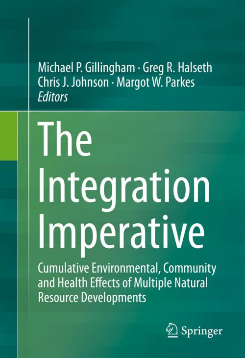 Cover of the book The Integration Imperative by , Springer International Publishing