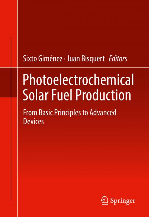 Cover of the book Photoelectrochemical Solar Fuel Production by , Springer International Publishing