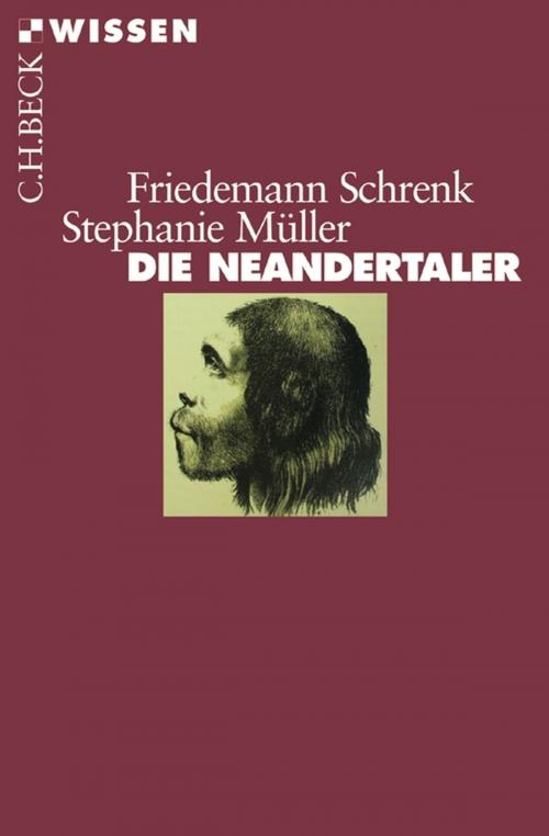 Cover of the book Die Neandertaler by Friedemann Schrenk, Stephanie Müller, Christine Hemm, C.H.Beck