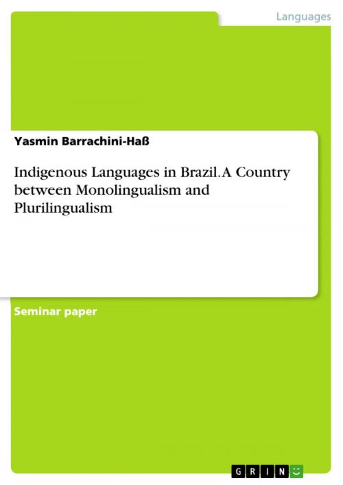 Cover of the book Indigenous Languages in Brazil. A Country between Monolingualism and Plurilingualism by Yasmin Barrachini-Haß, GRIN Verlag