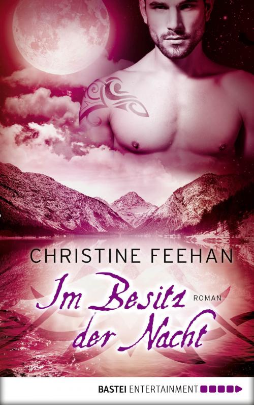 Cover of the book Im Besitz der Nacht by Christine Feehan, Bastei Entertainment