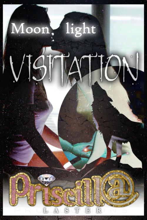Cover of the book Moonlight Visitation by Priscilla Laster, BookRix