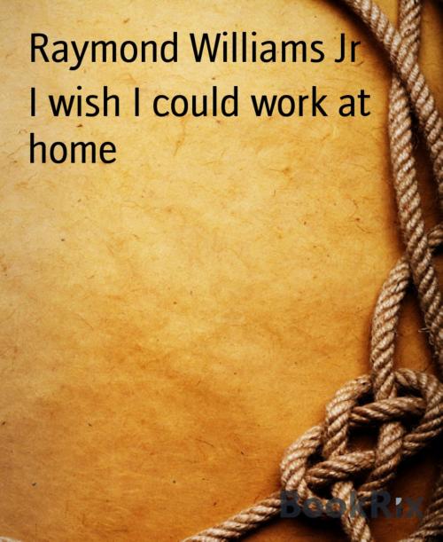 Cover of the book I wish I could work at home by Raymond Williams Jr, BookRix