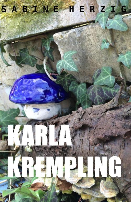 Cover of the book Karla Krempling by Sabine Herzig, BookRix