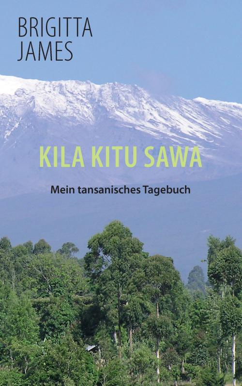 Cover of the book Kila Kitu Sawa by Brigitta James, TWENTYSIX