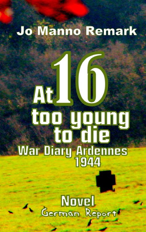 Cover of the book At 16 too young to die by Jo Manno Remark, Books on Demand