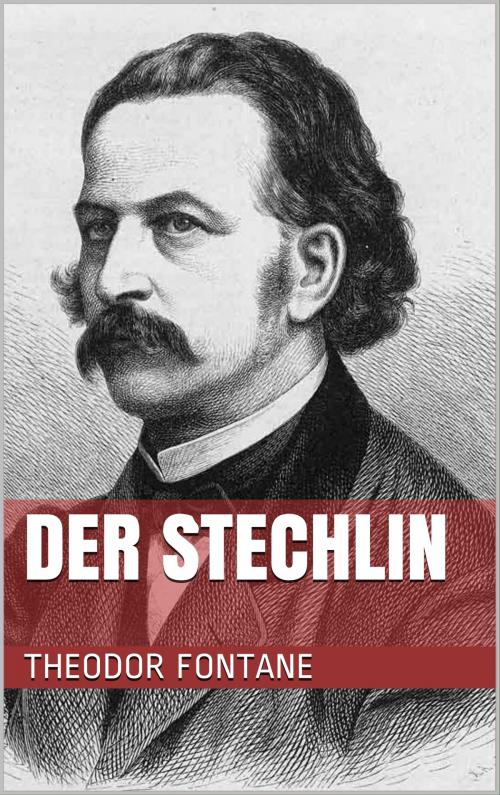 Cover of the book Der Stechlin by Theodor Fontane, Books on Demand