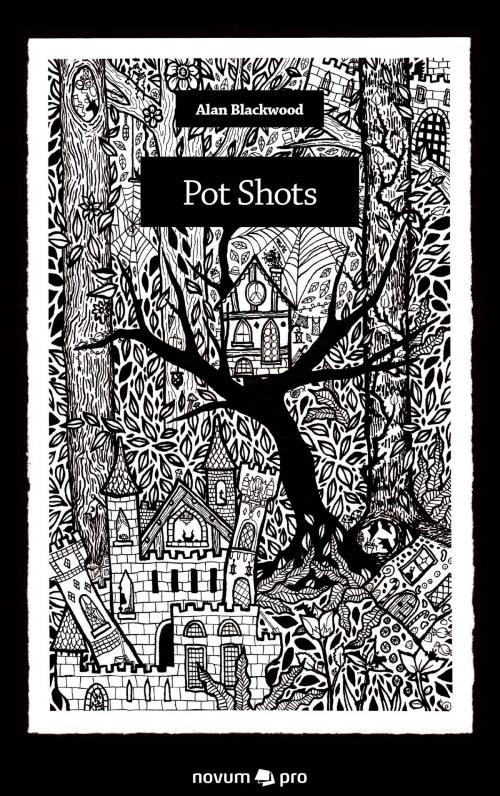 Cover of the book Pot Shots by Alan Blackwood, novum pro Verlag