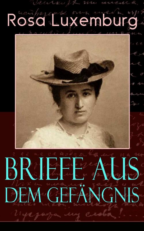 Cover of the book Briefe aus dem Gefängnis by Rosa Luxemburg, e-artnow