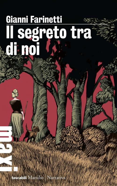 Cover of the book Il segreto tra di noi by Gianni Farinetti, Marsilio