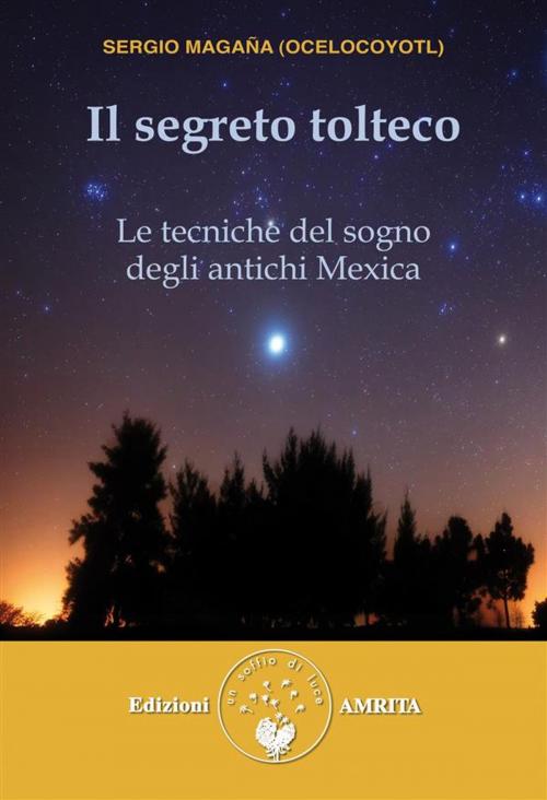Cover of the book Il segreto tolteco by Sergio Magaña (Ocelocoyotl), Amrita Edizioni