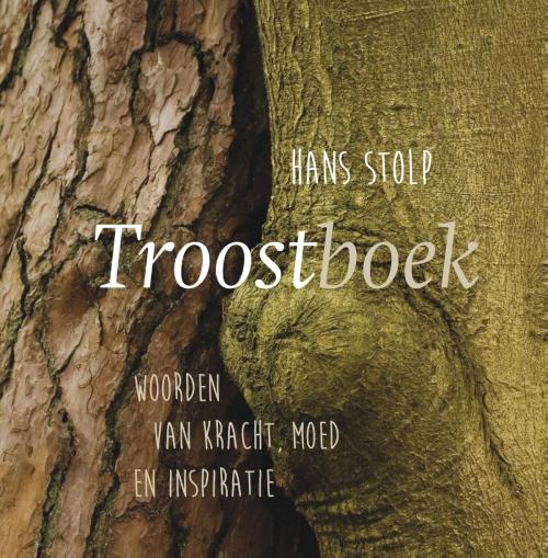 Cover of the book Troostboek by Hans Stolp, VBK Media