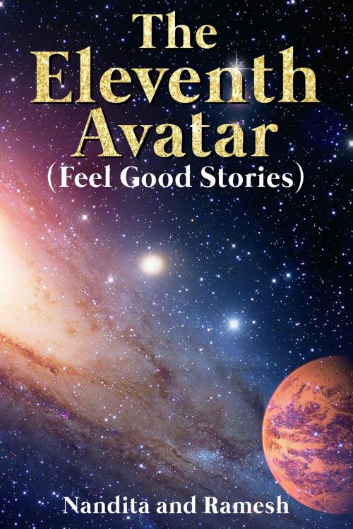 Cover of the book The Eleventh Avatar by Nandita and Ramesh, Notion Press