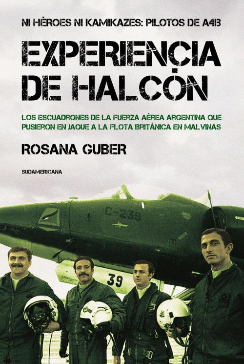 Cover of the book Experiencia de Halcón by Rosana Guber, Penguin Random House Grupo Editorial Argentina
