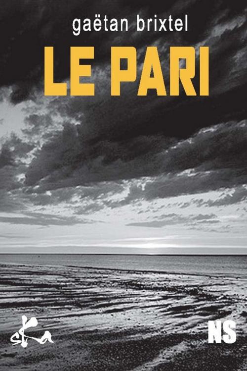 Cover of the book Le pari by Gaëtan Brixtel, SKA
