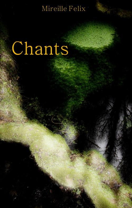 Cover of the book Chants by Mireille Felix, Gwenaëlle Hoareau, Mireille Felix