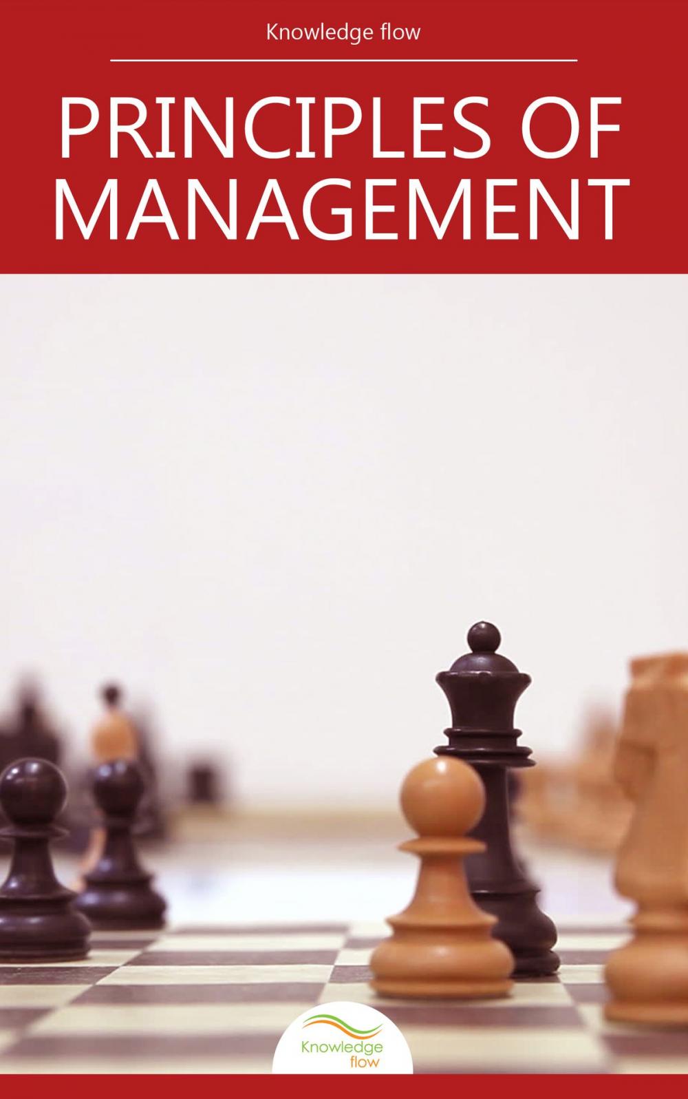 Big bigCover of Principles of Management