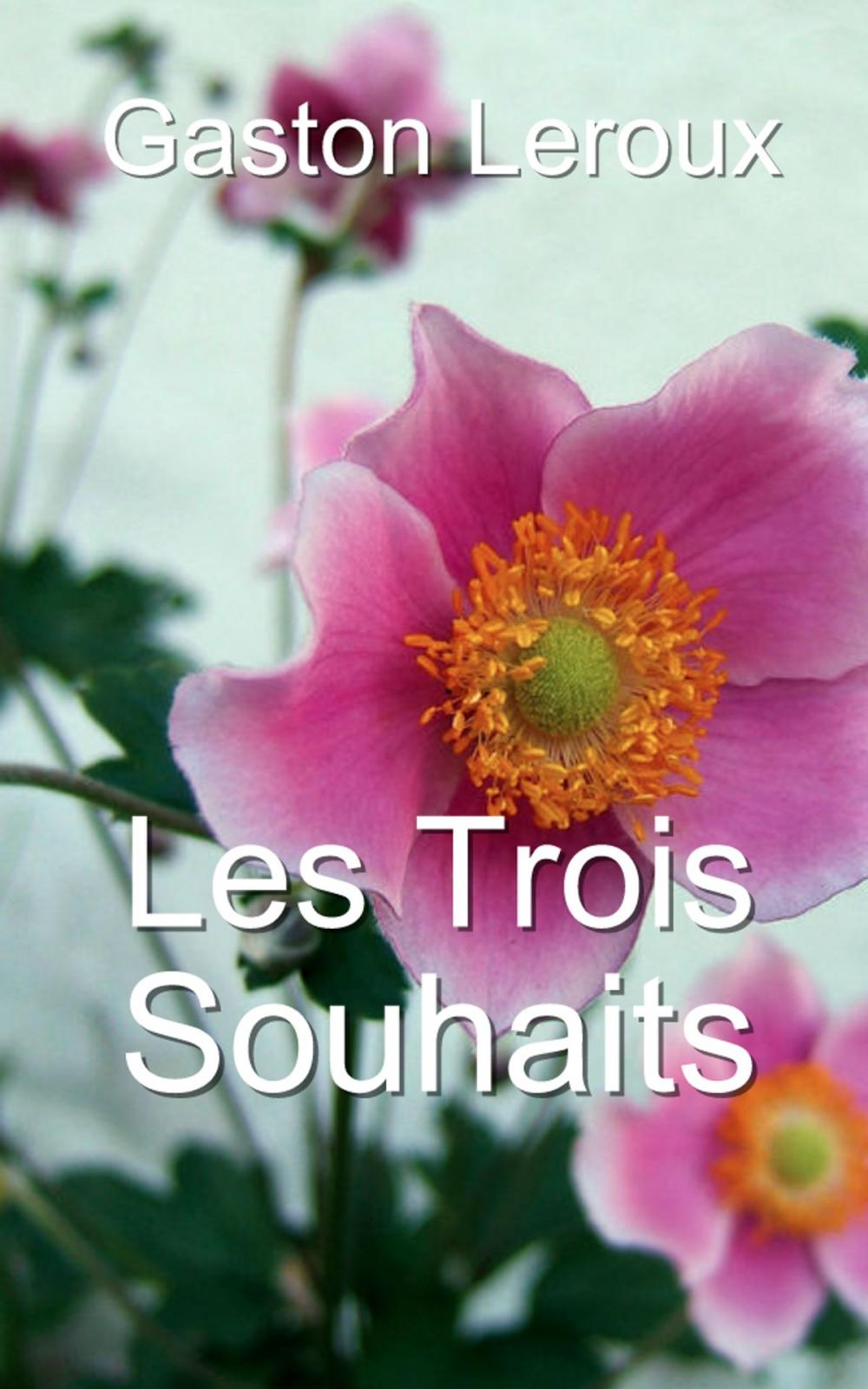 Big bigCover of Les Trois Souhaits