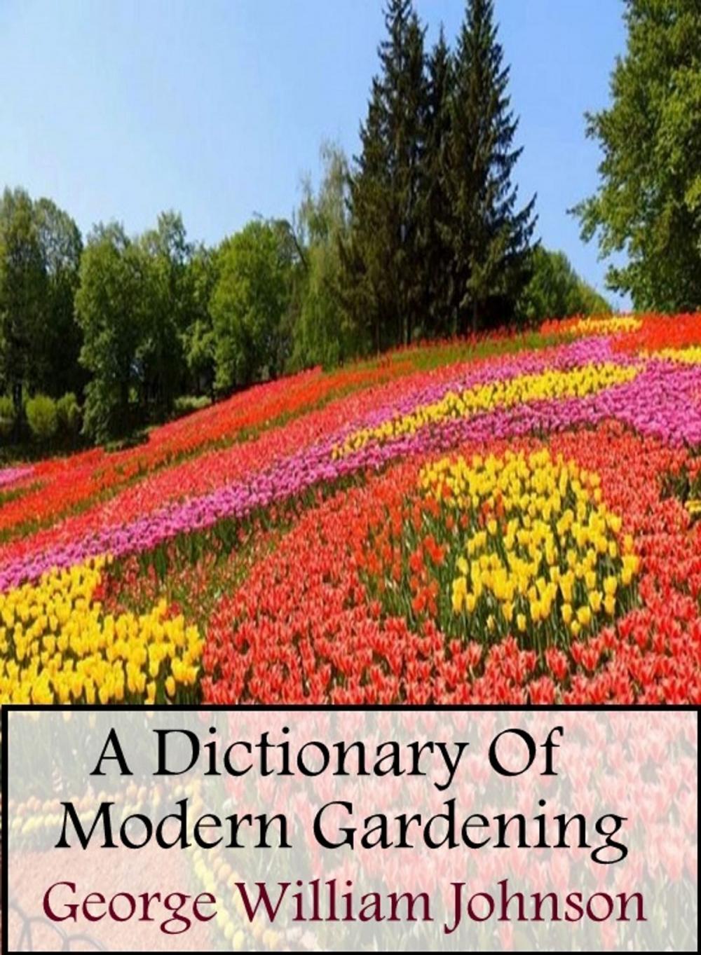 Big bigCover of A Dictionary Of Modern Gardening