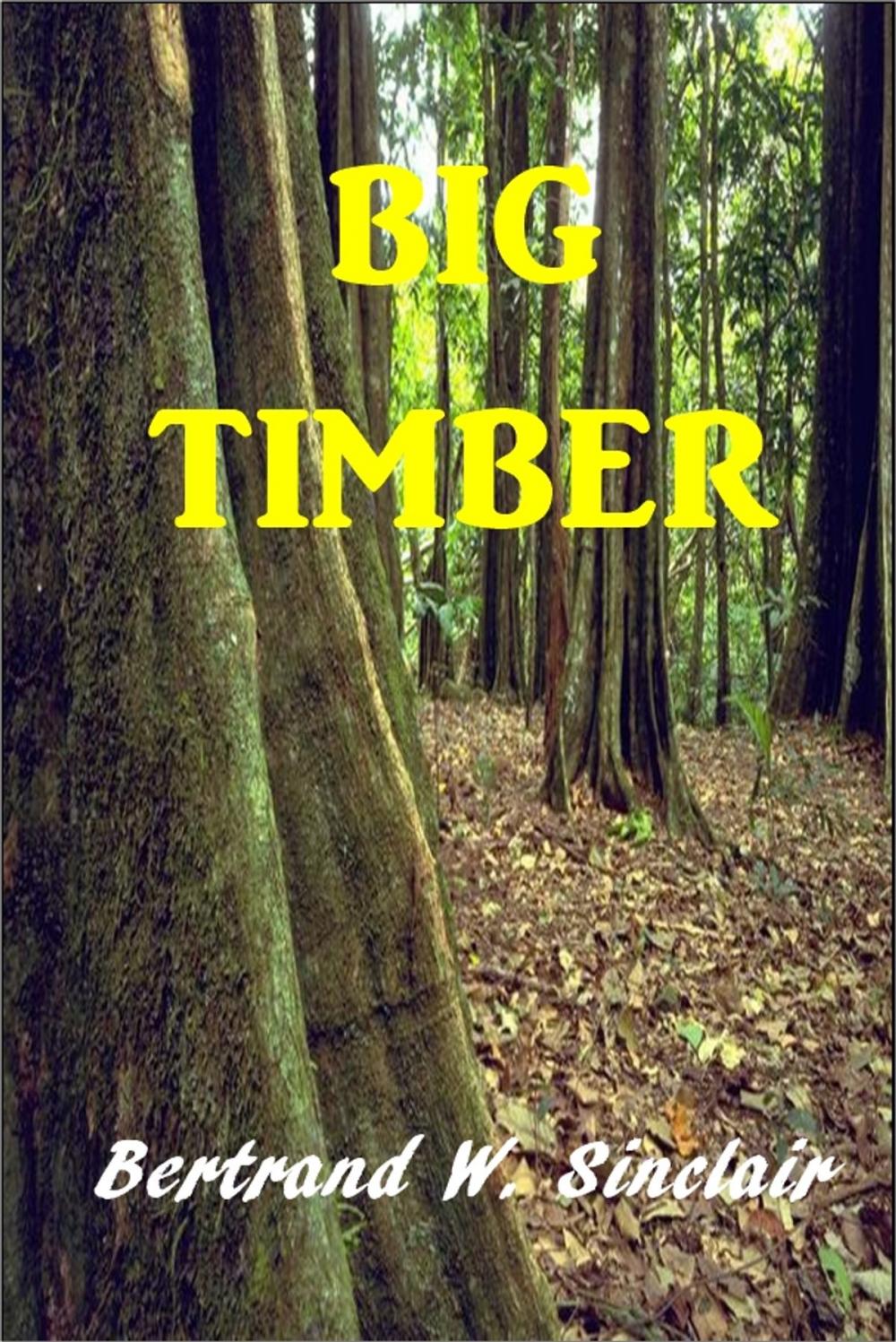 Big bigCover of Big Timber