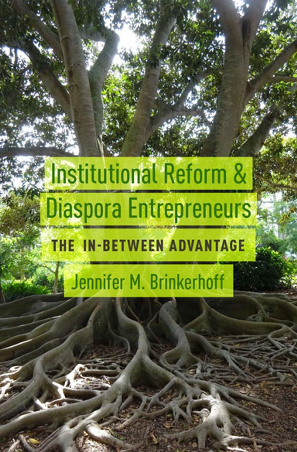 Big bigCover of Institutional Reform and Diaspora Entrepreneurs