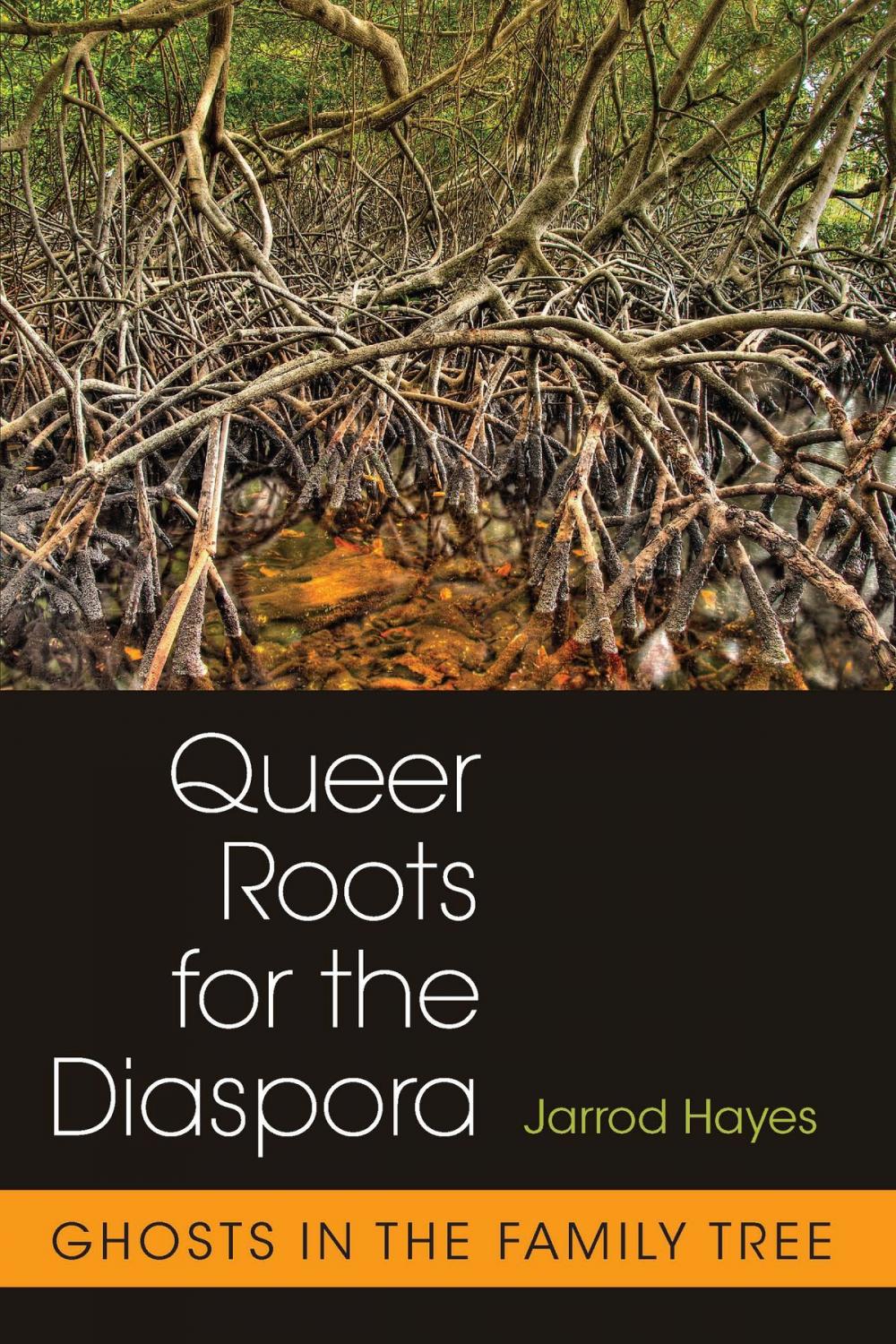 Big bigCover of Queer Roots for the Diaspora