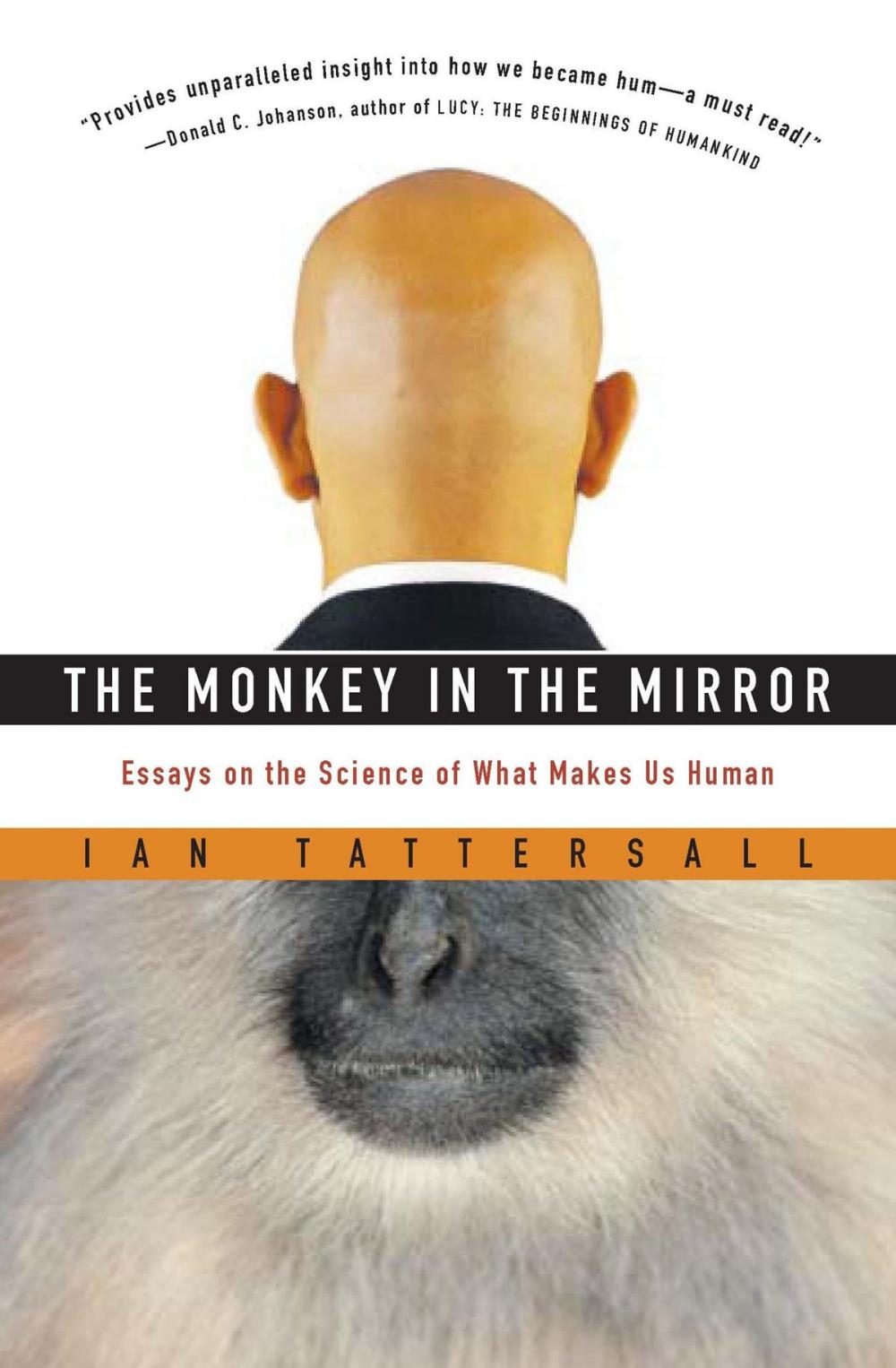 Big bigCover of The Monkey in the Mirror