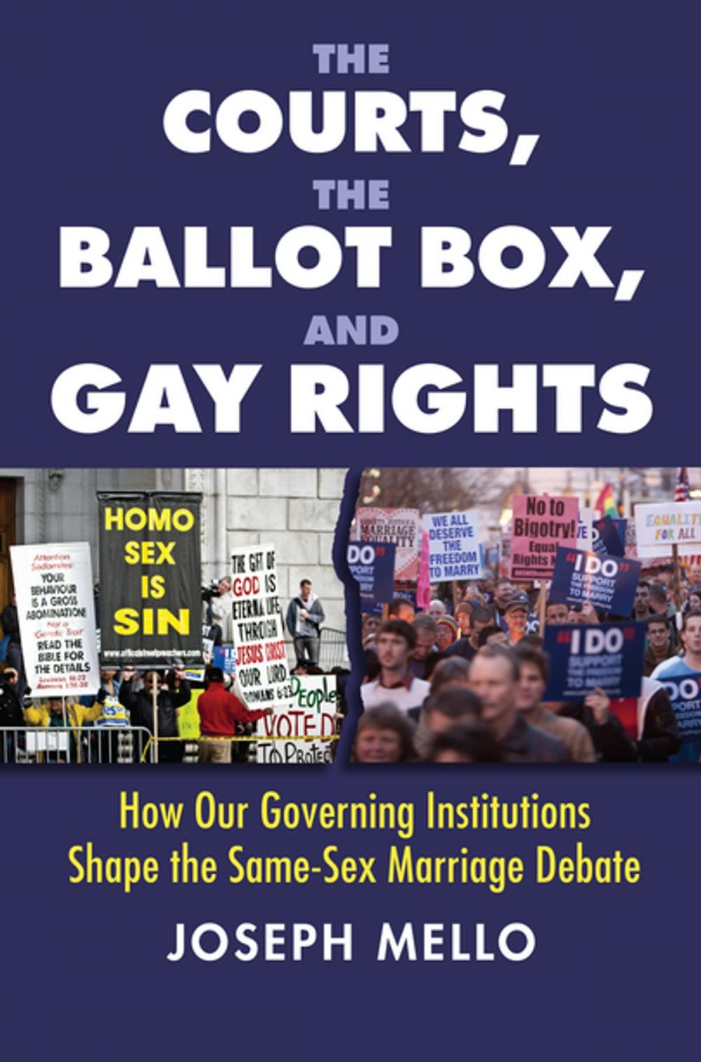 Big bigCover of The Courts, the Ballot Box, and Gay Rights